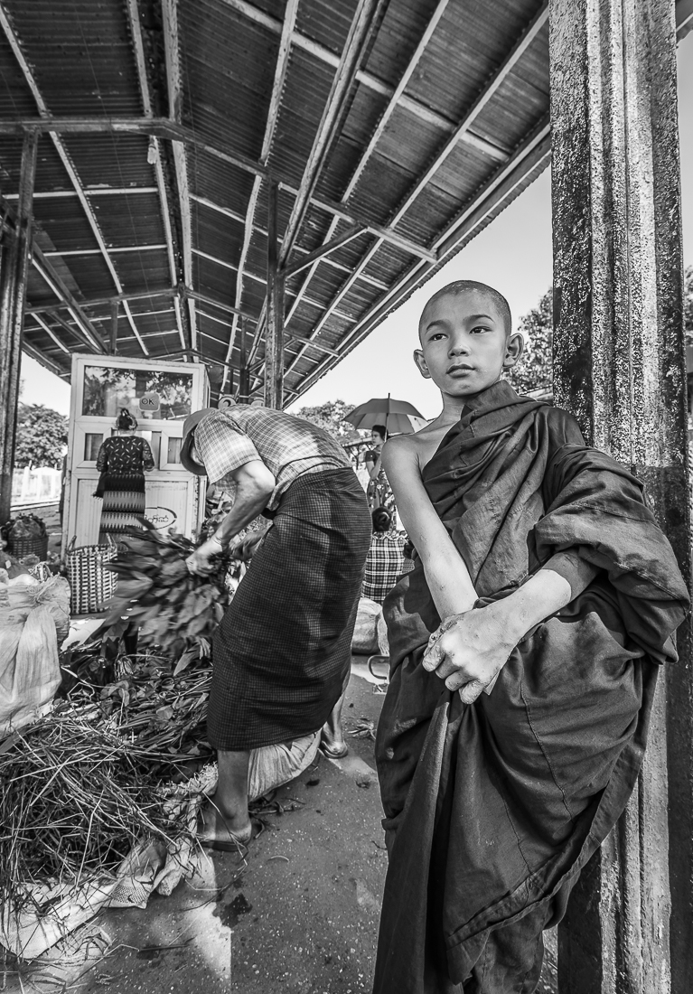 Day-to-day life of young burmese monks.