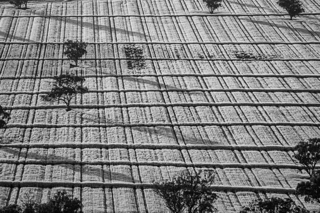 Crop Grids