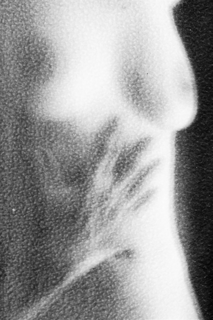 untitled, 2019-2021