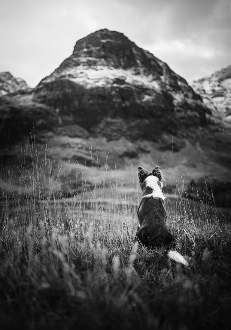 Mountain Adventures