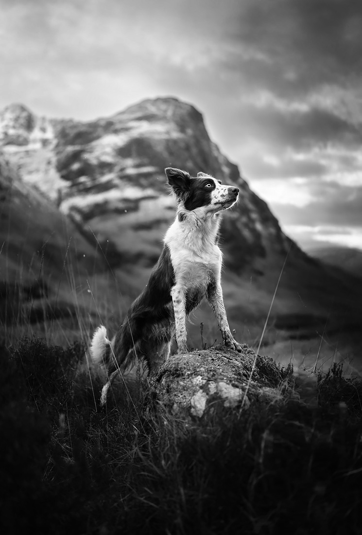 Mountain Adventures