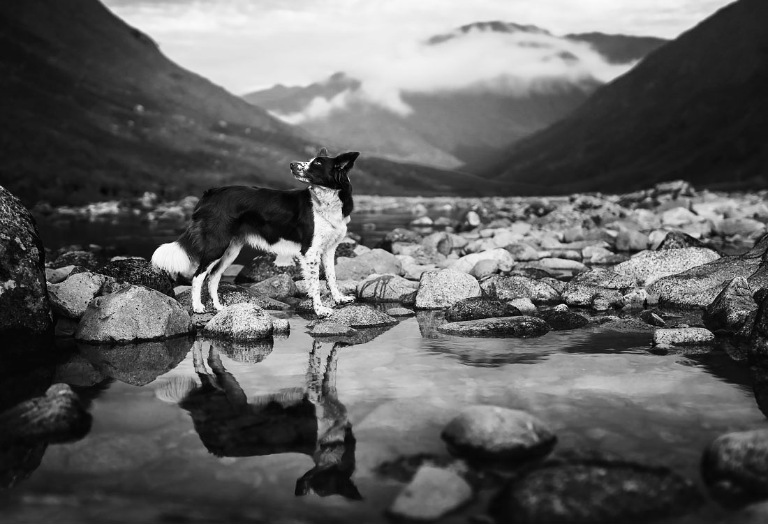 Mountain Adventures