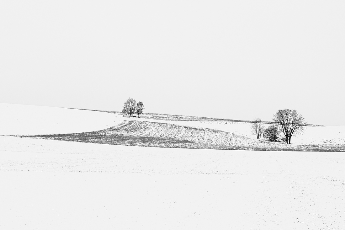 Fields in winter