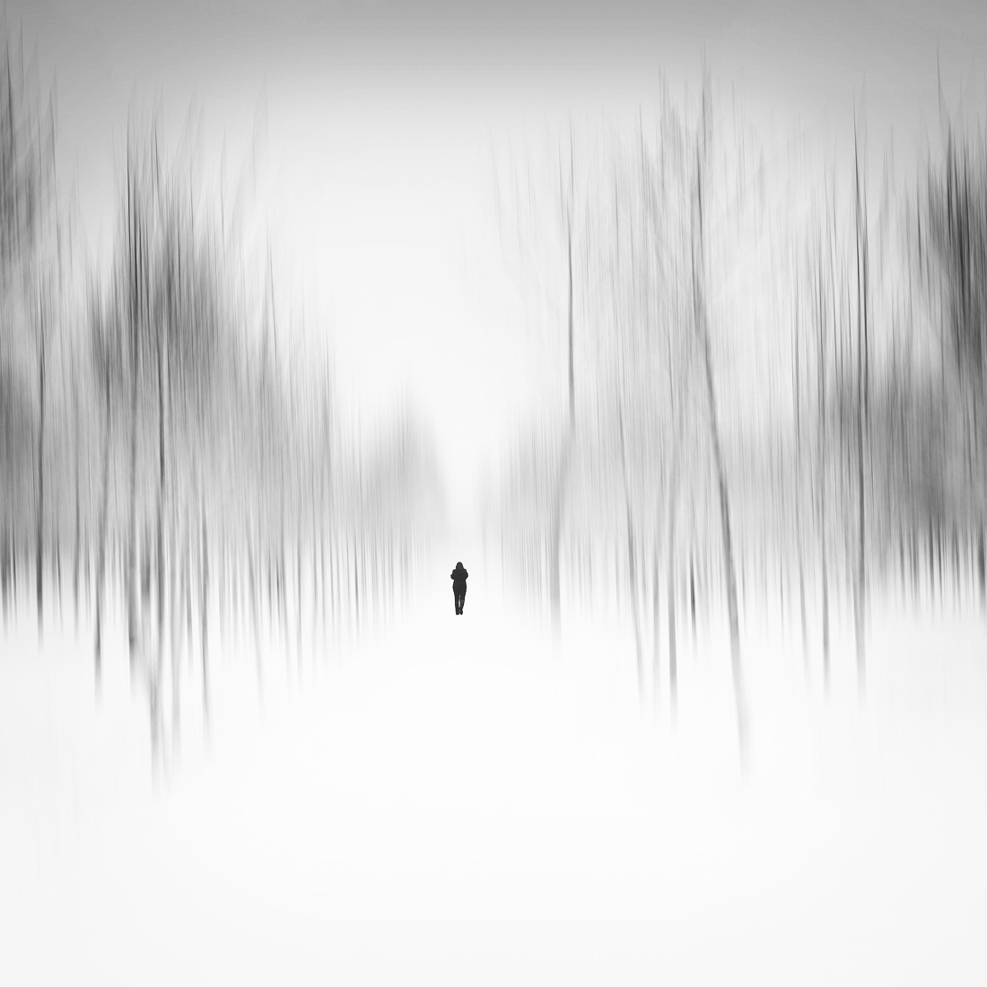 in the forest