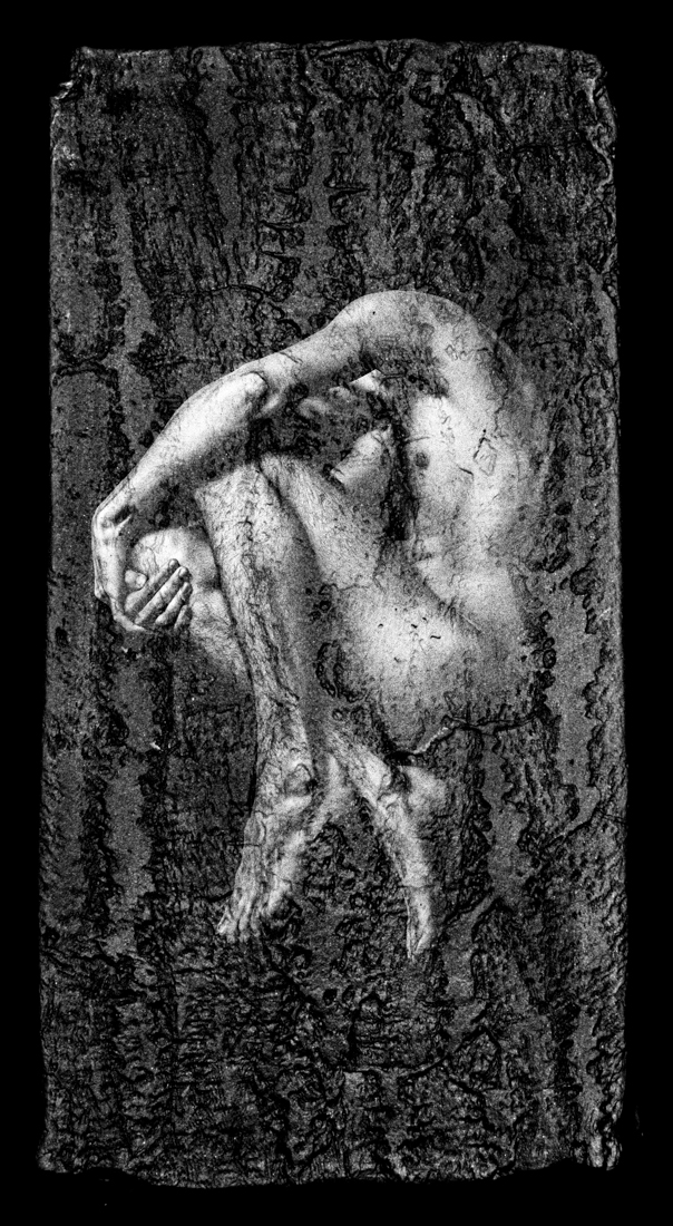 ENDOGENESIS