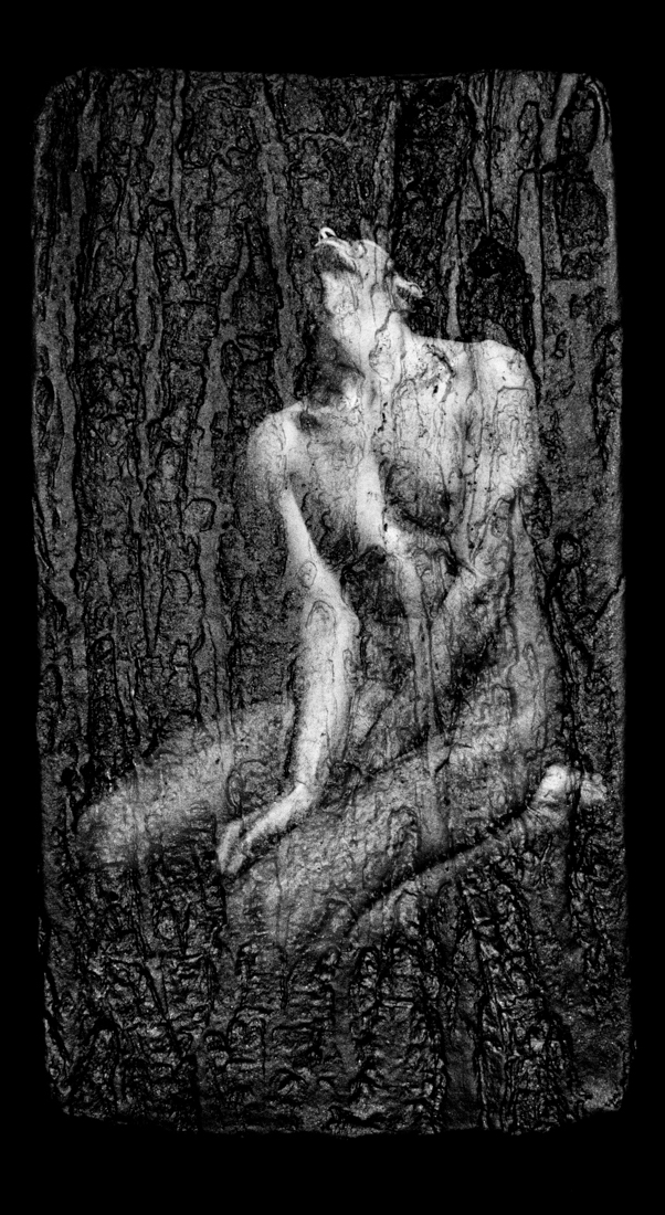 ENDOGENESIS