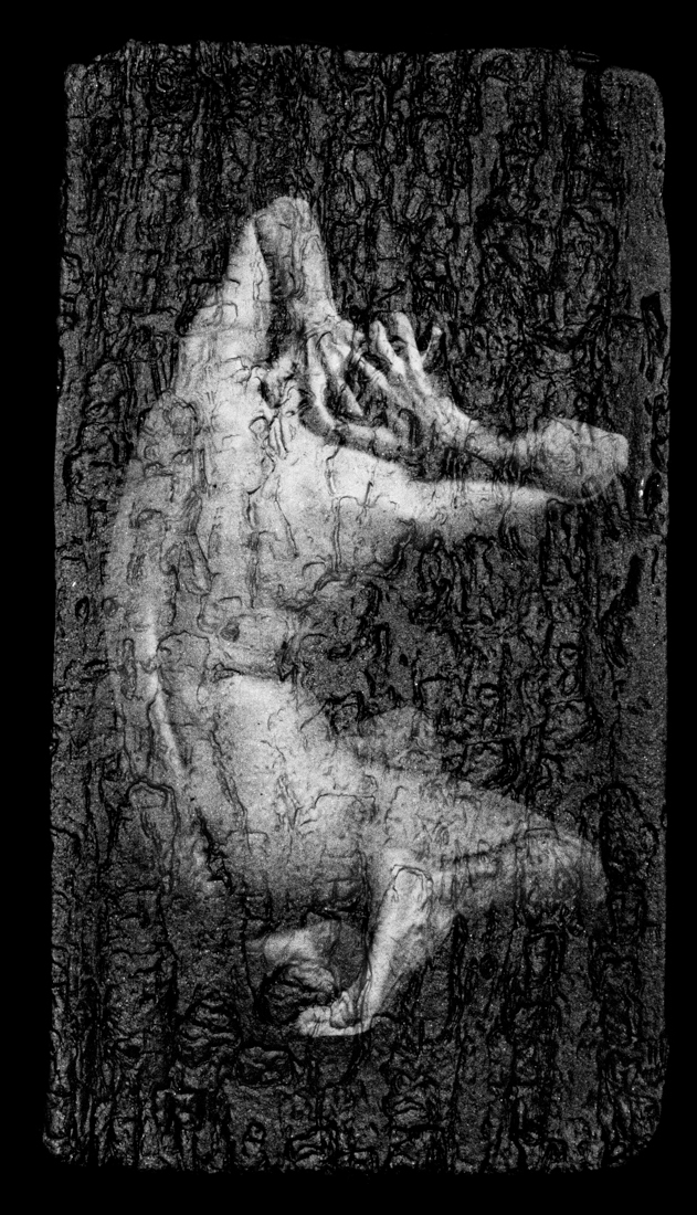 ENDOGENESIS