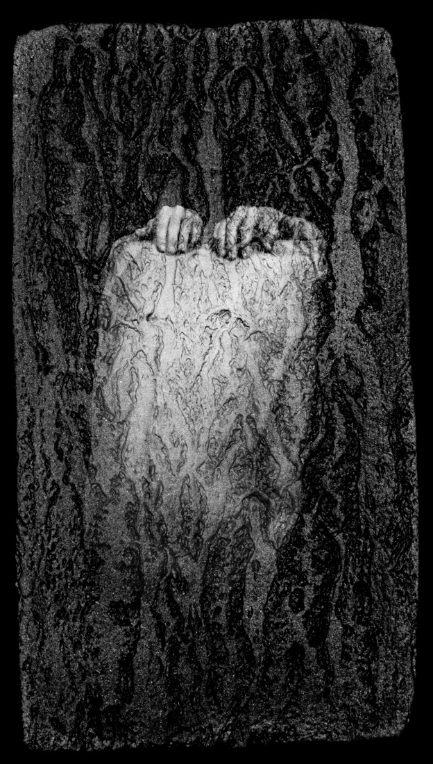ENDOGENESIS