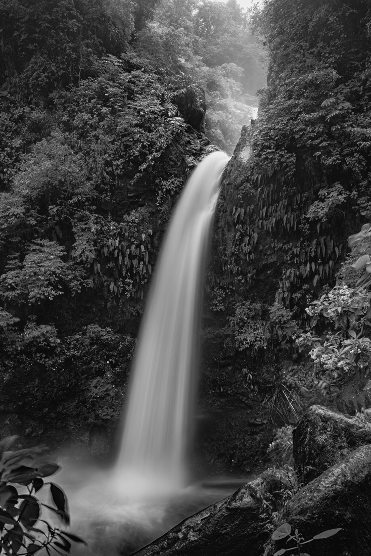 Costa Rica Abundance