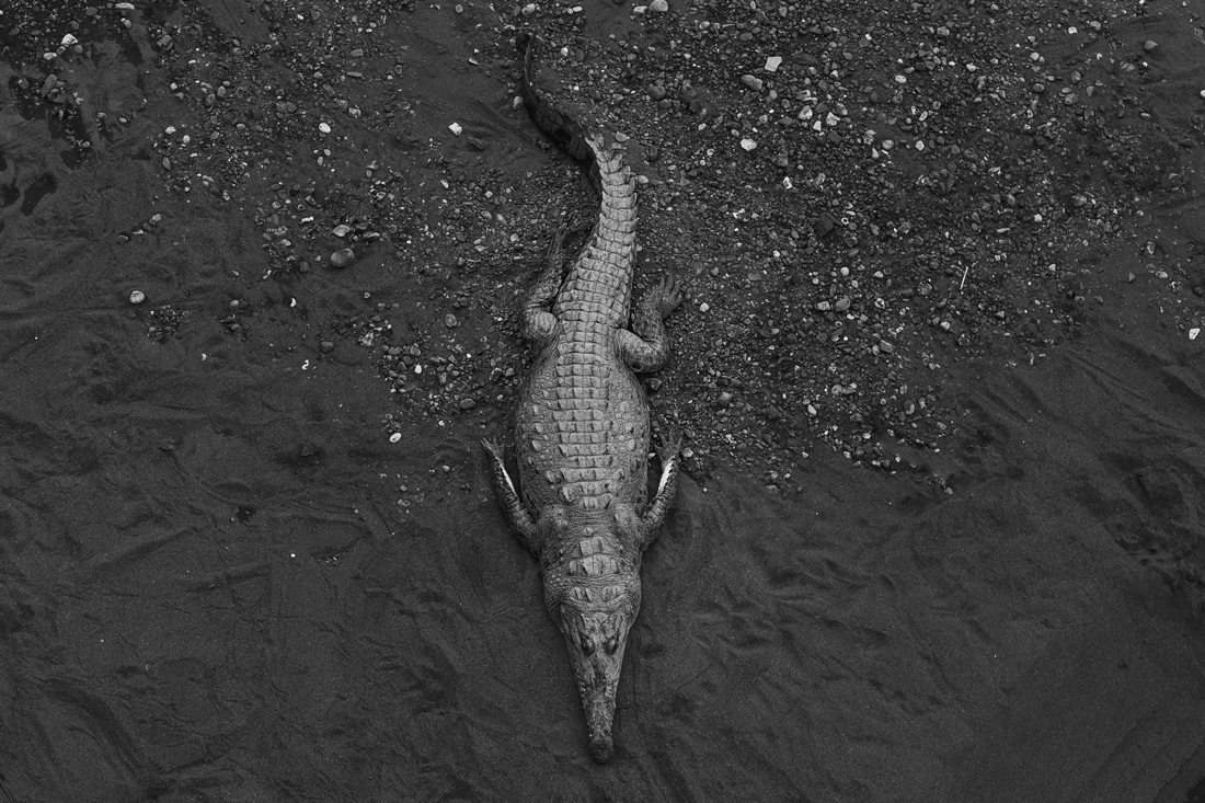 Costa Rica Abundance
