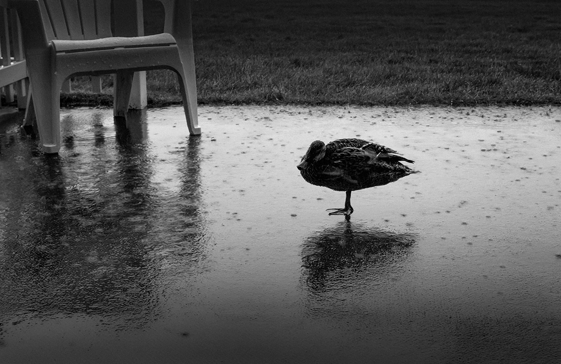 Alone