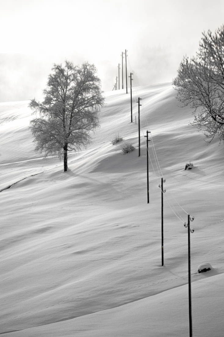 Poles