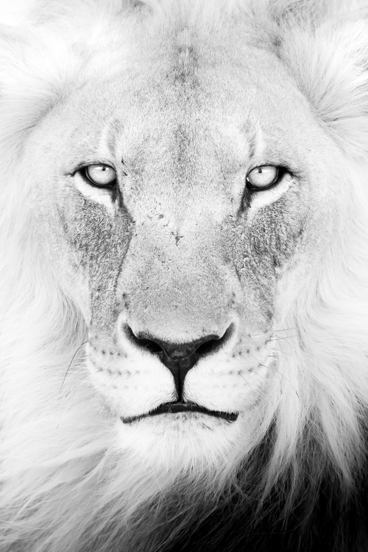 Wild and free