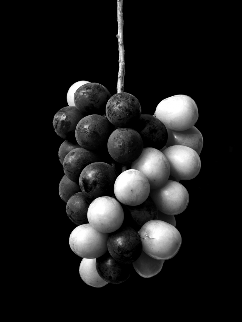 Farmer's Improvisation :As a fruit farmer and breeder