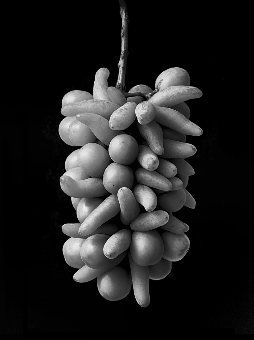 Farmer's Improvisation :As a fruit farmer and breeder