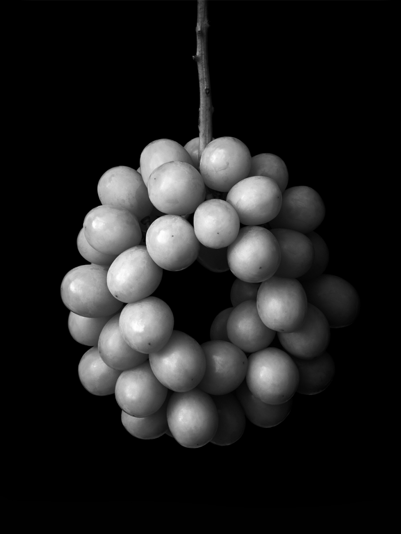 Farmer's Improvisation :As a fruit farmer and breeder