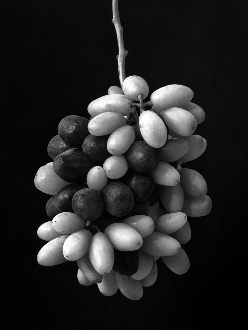 Farmer's Improvisation :As a fruit farmer and breeder