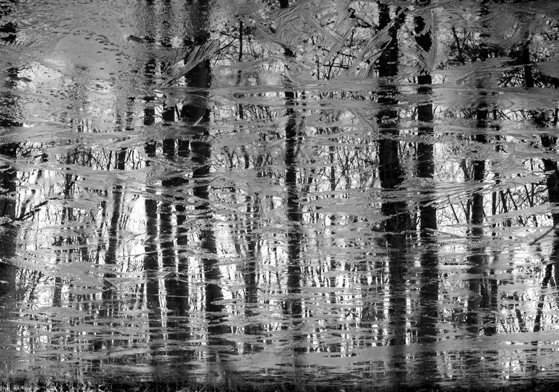 Ice Reflections