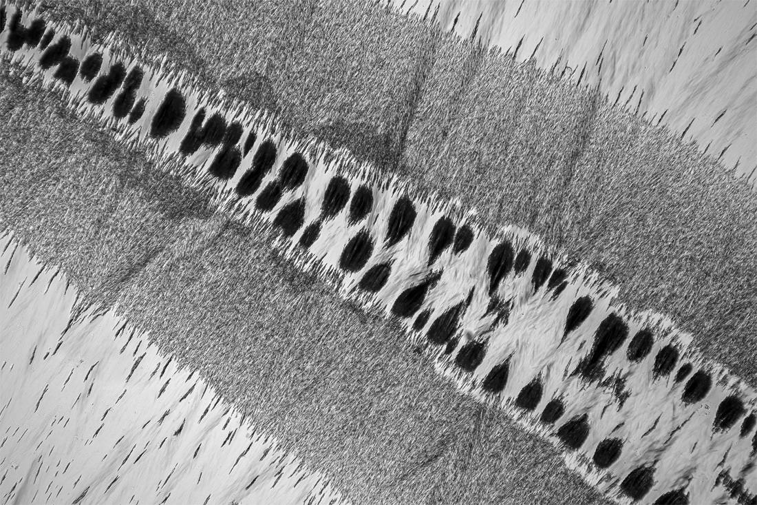 Microcrystals - border crossers between art and science.