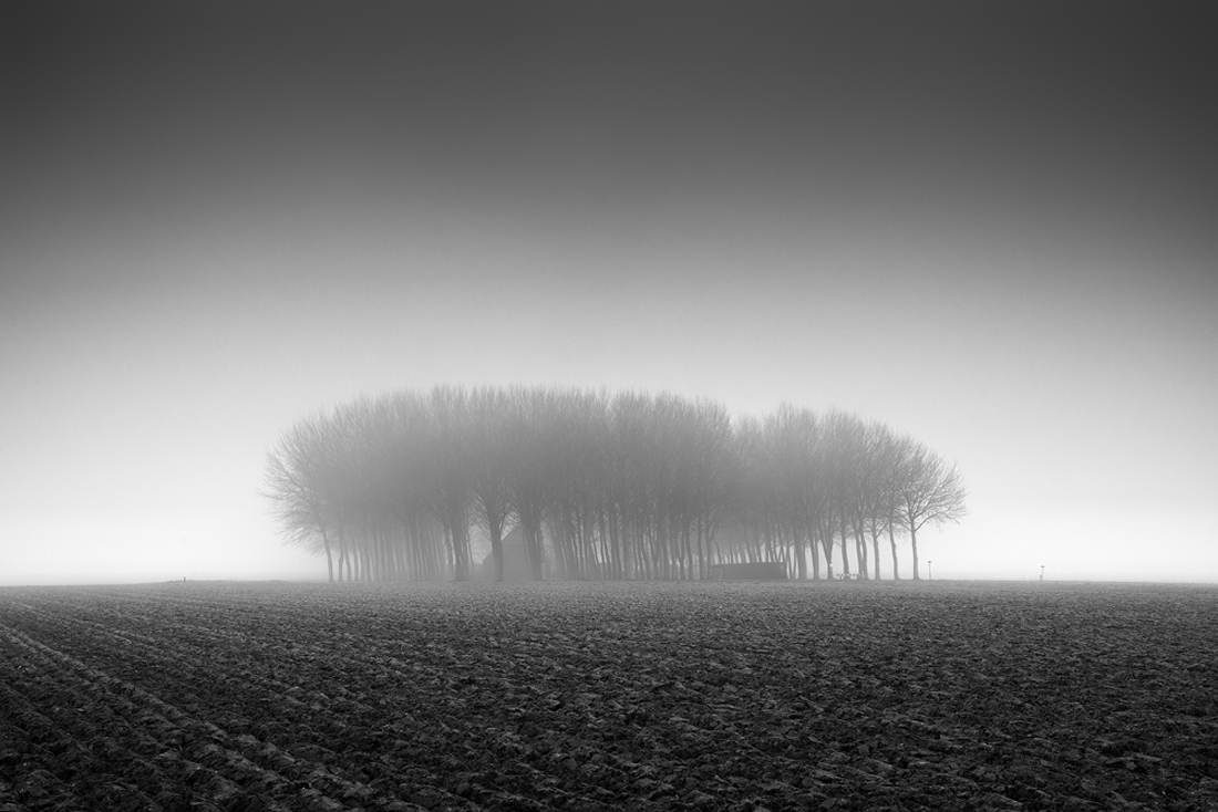 Mistery