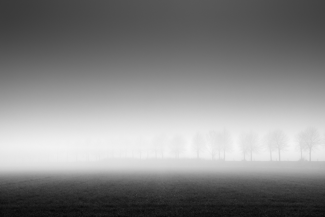 Mistery