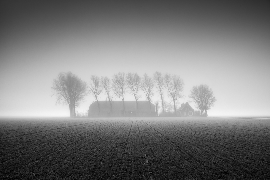 Mistery