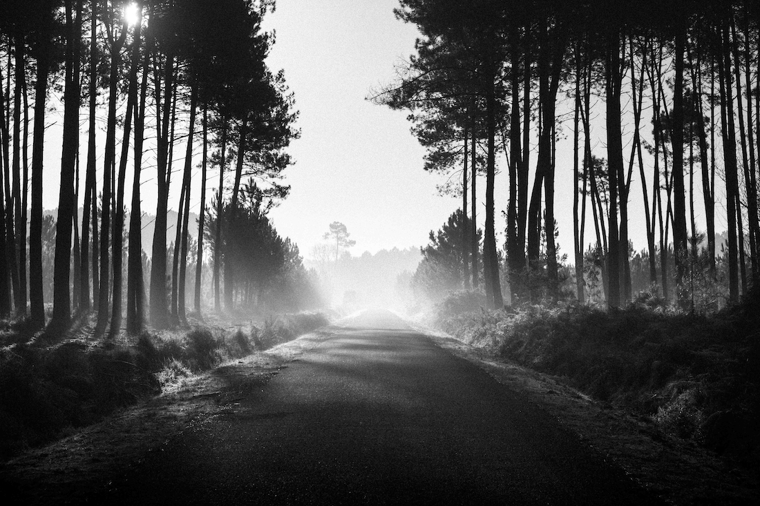 Desertion