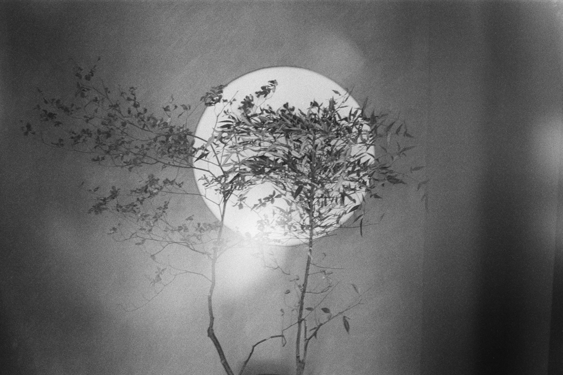 Song Of The Wind 