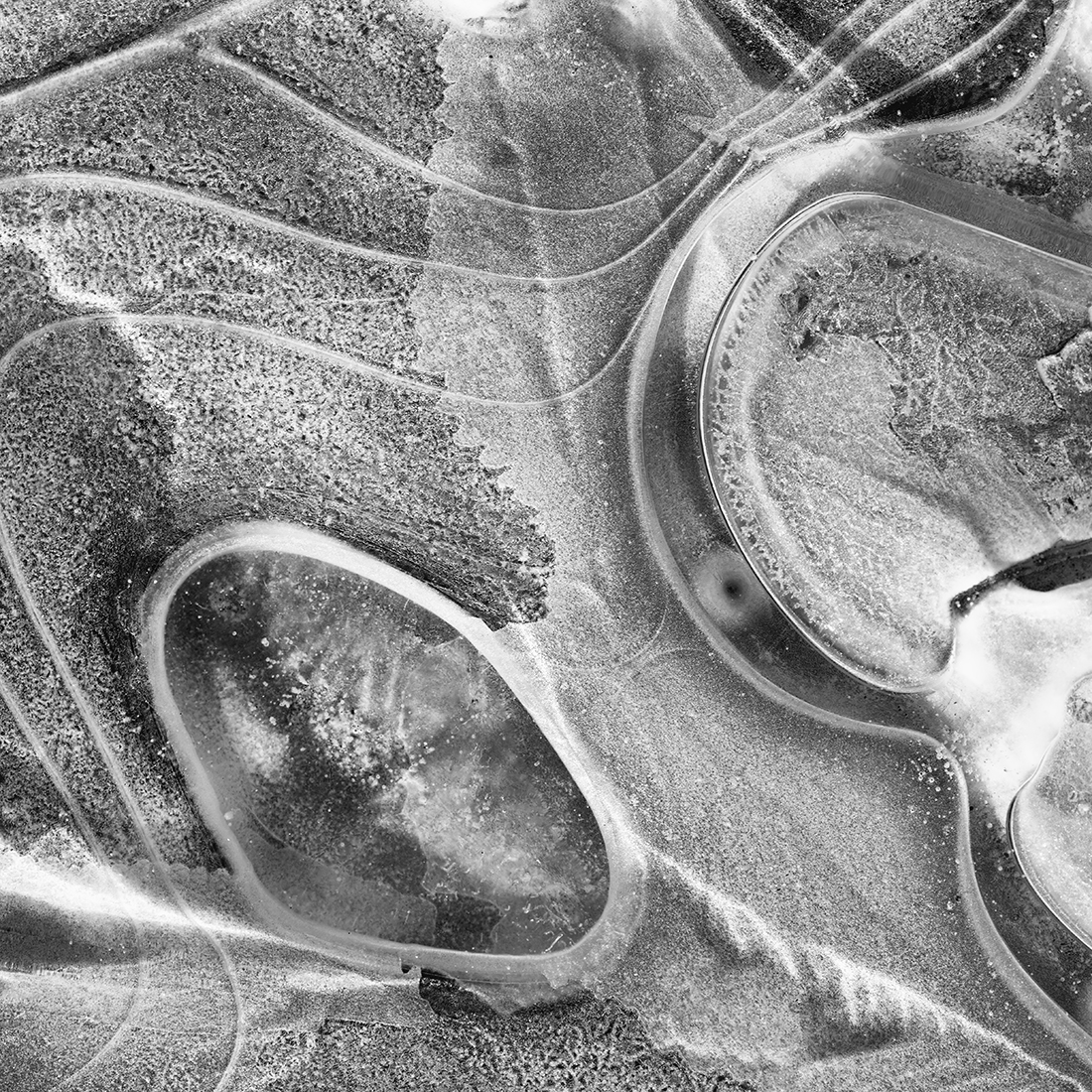 ice art SW-06