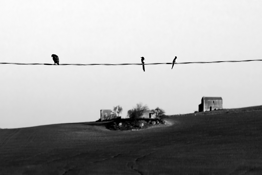 Nature and country life in my land