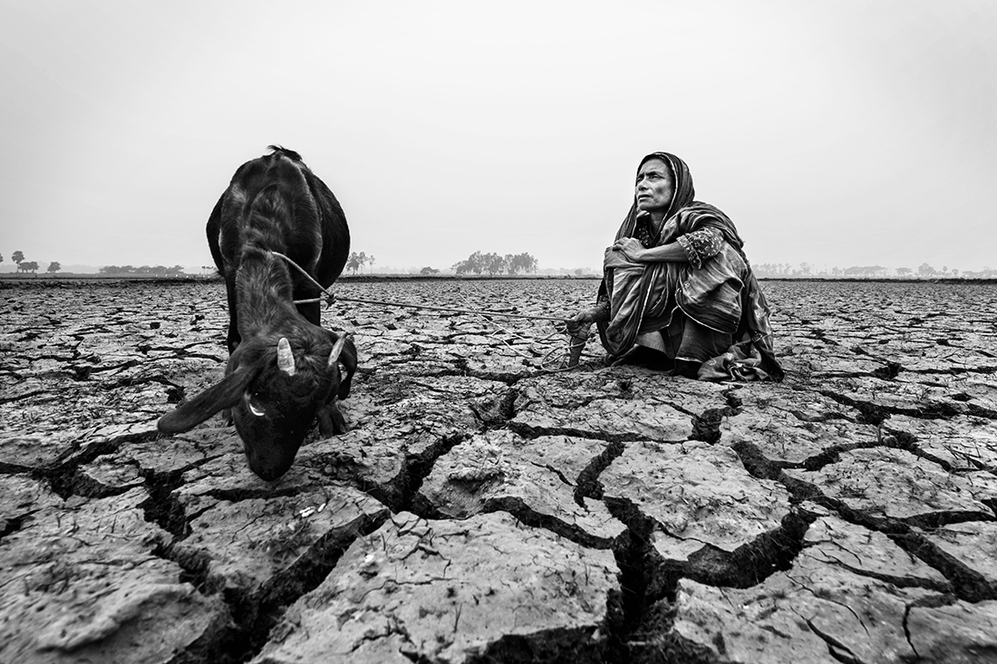 Tears of global warming