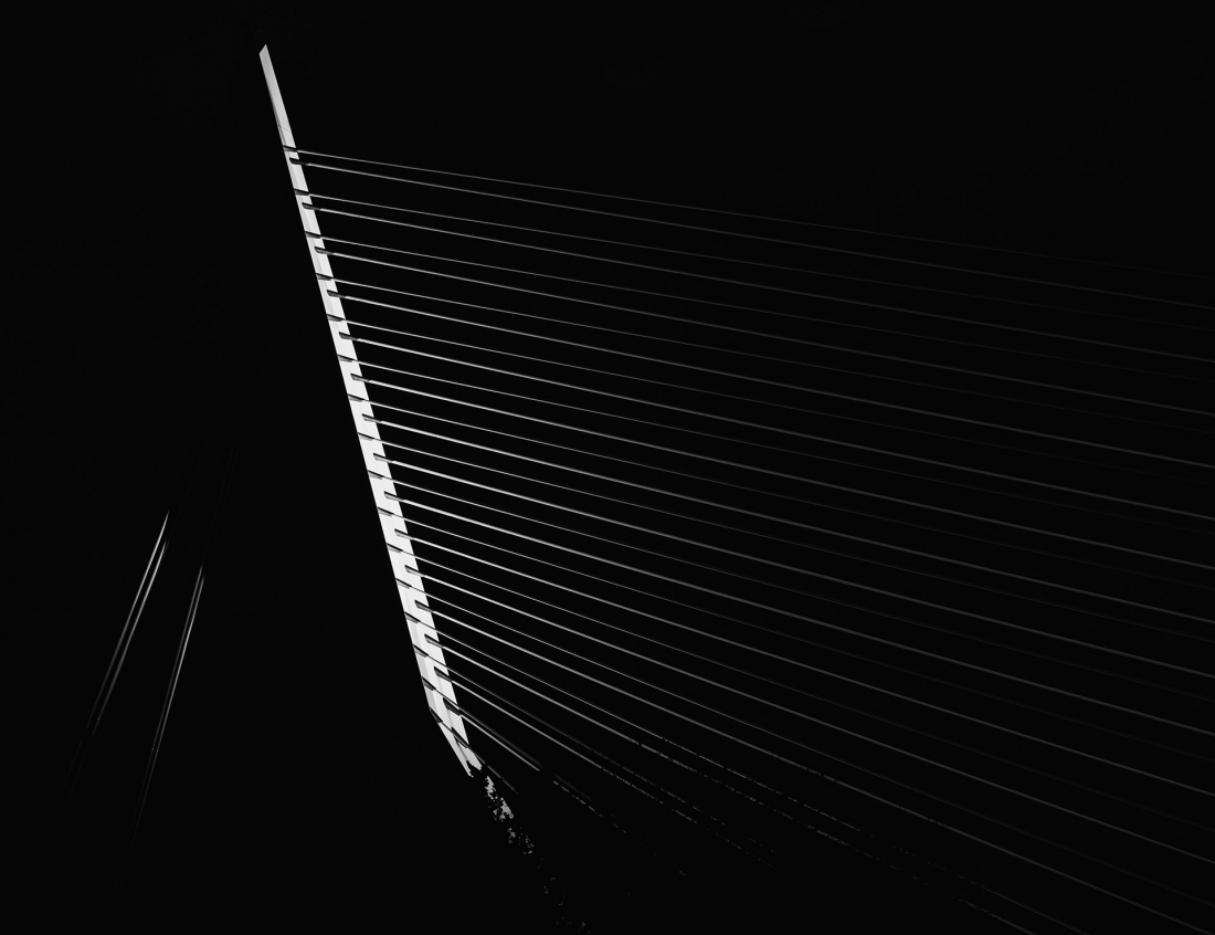 The harp