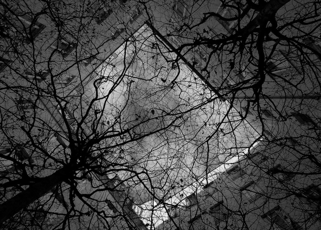 Architectural forms turn in photographic abstracts