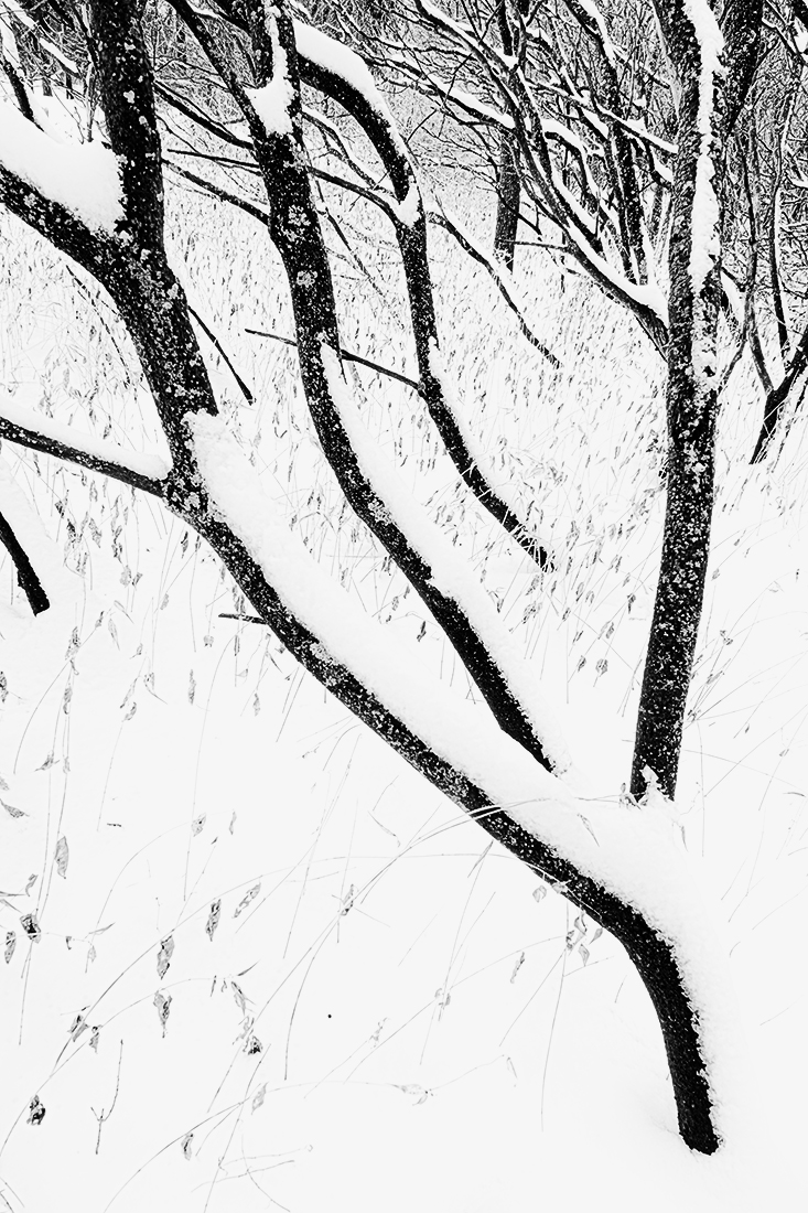 Bent Not Broken