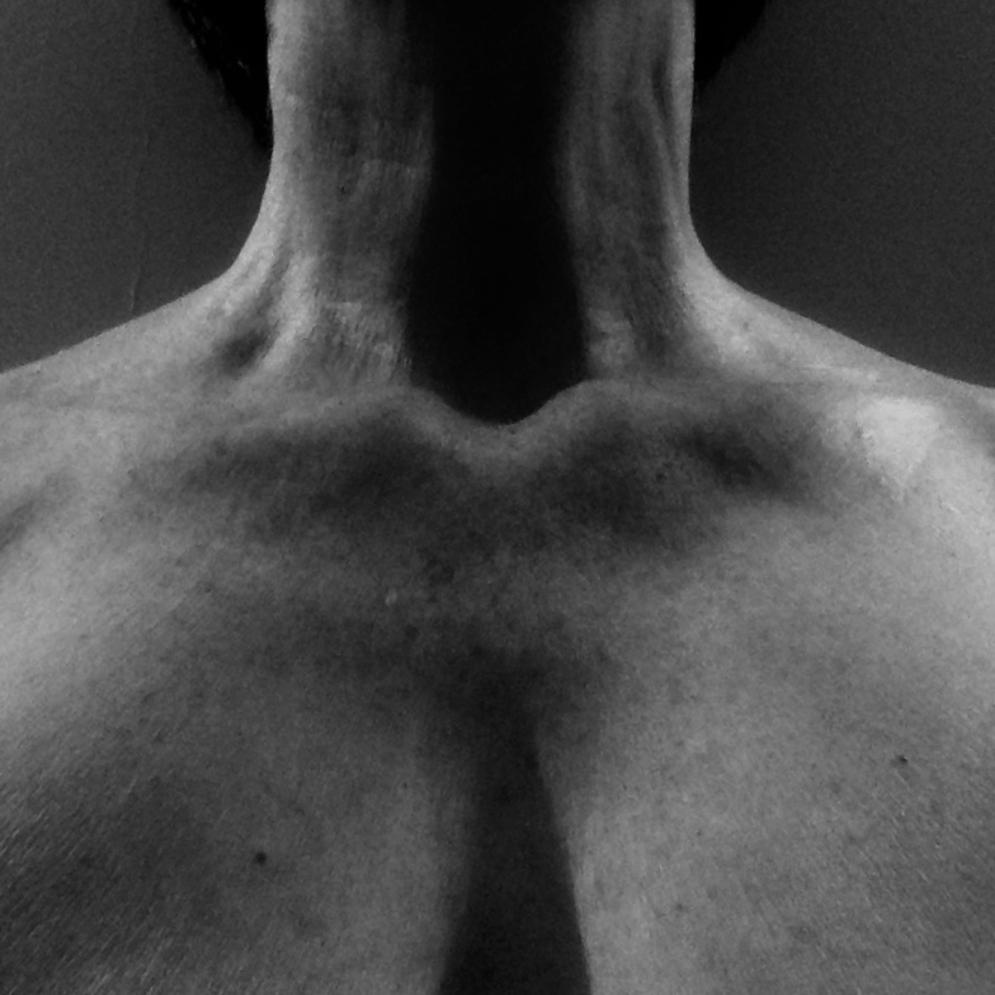 Mea-Morphosis