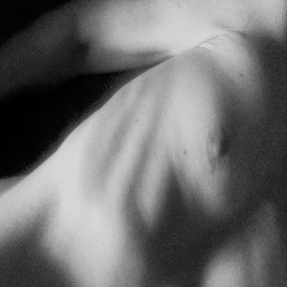 Mea-Morphosis