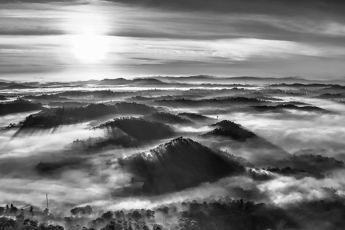 Morning Rays