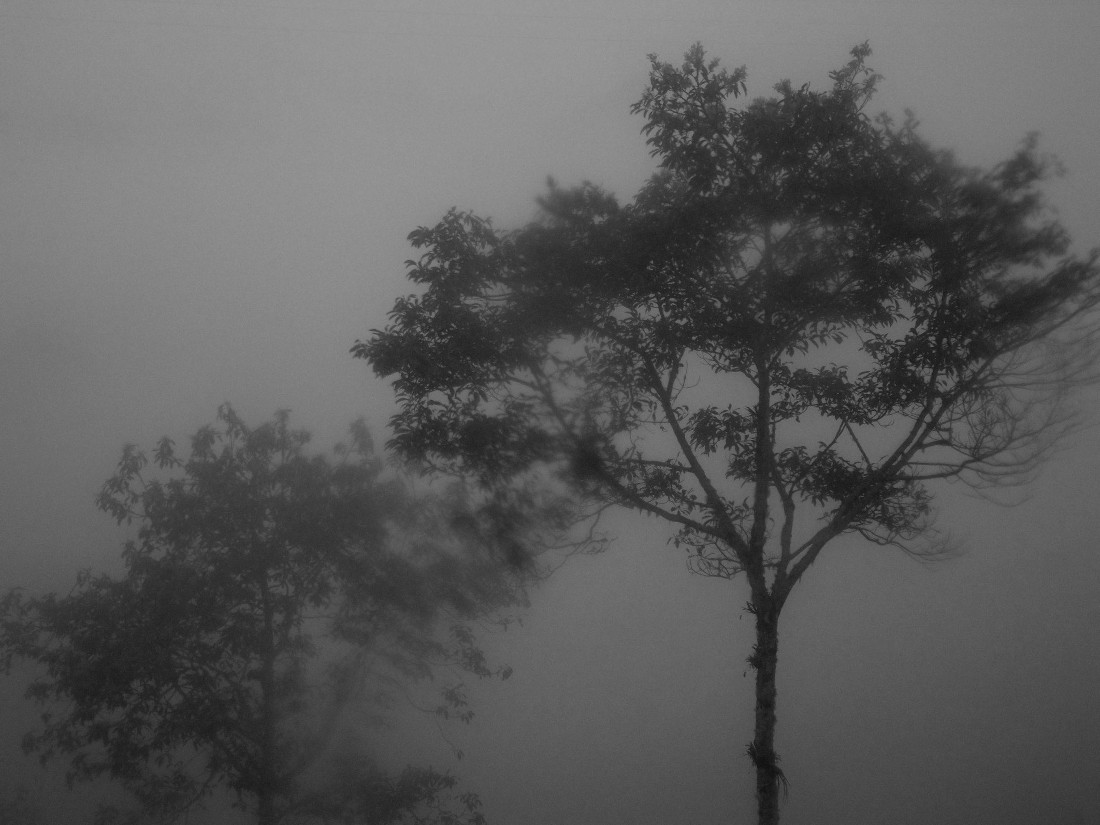 Mystical mountains