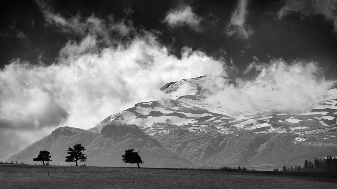 Tree's nature