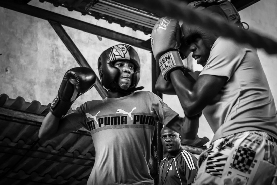 The Cuban Boxers