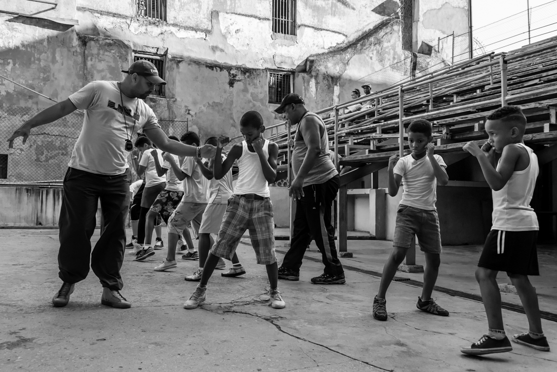 The Cuban Boxers