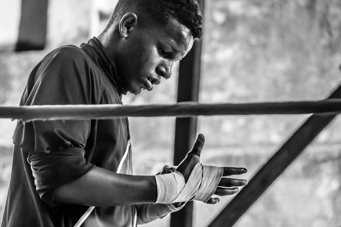 The Cuban Boxers