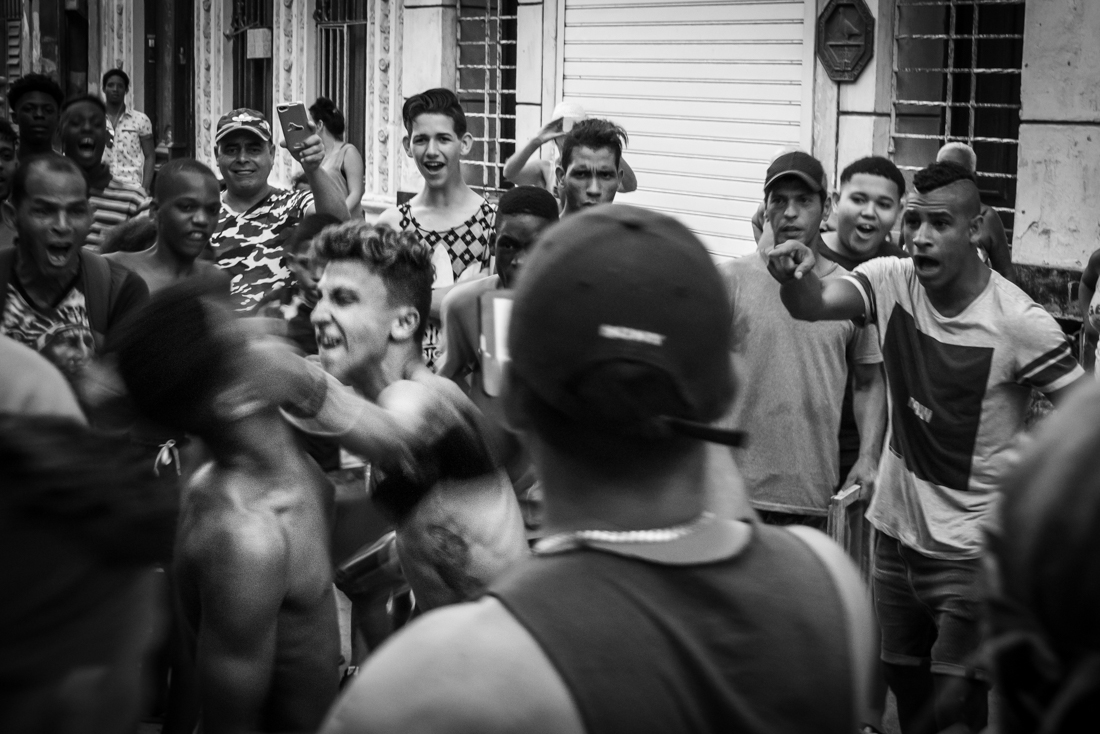 The Cuban Boxers