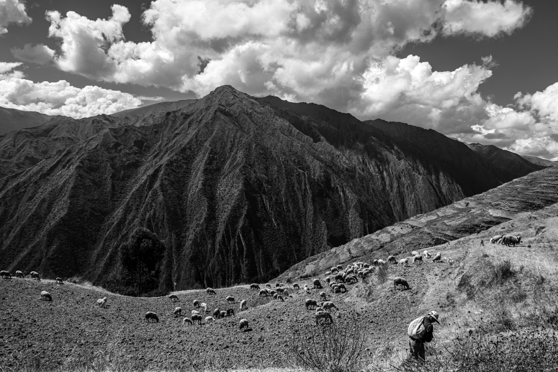 Quechua