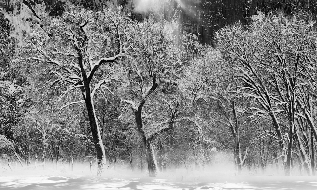 Winter Reverie