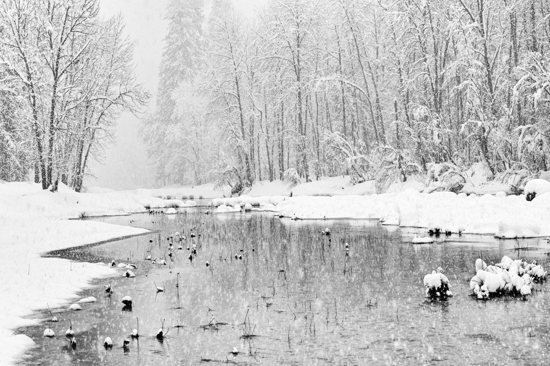 Winter Reverie