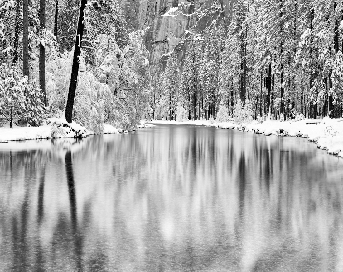 Winter Reverie