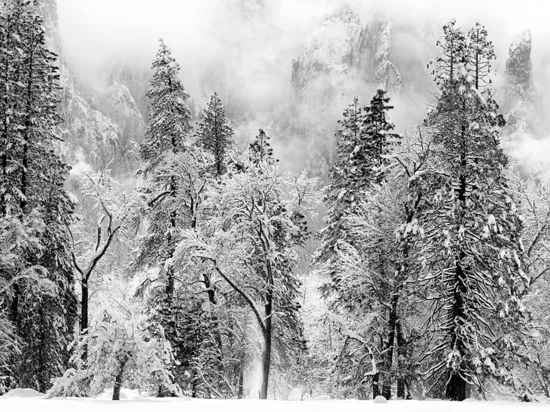 Winter Reverie