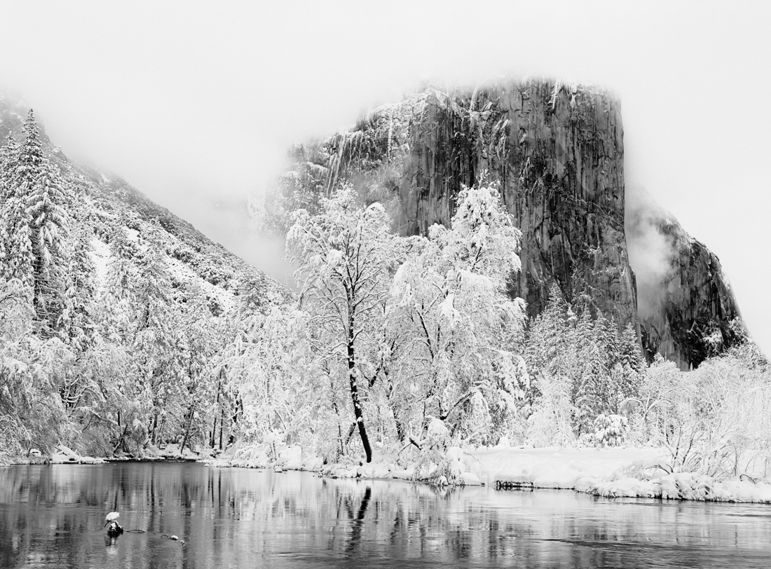 Winter Reverie