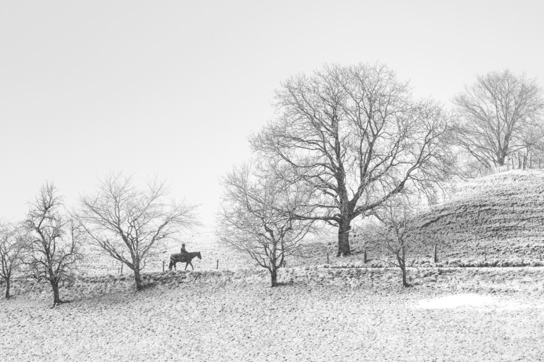 Rider in the snowstorm